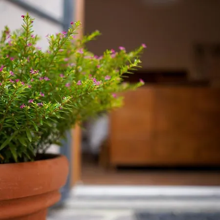 Отель Palazzina Mariani