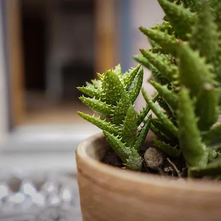 Отель Palazzina Mariani *