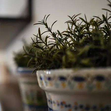 Palazzina Mariani Отель Рим