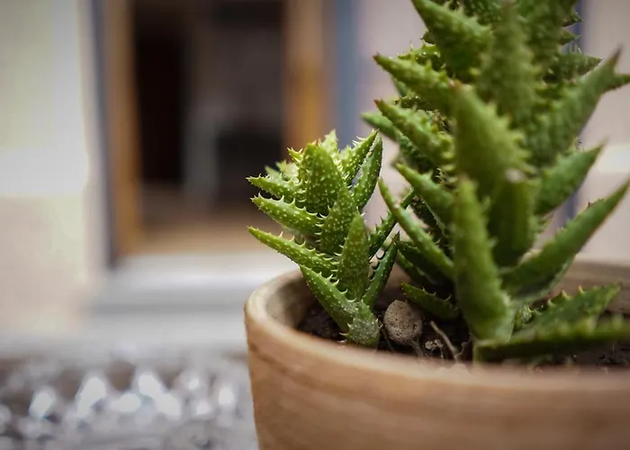 מלון Palazzina Mariani *