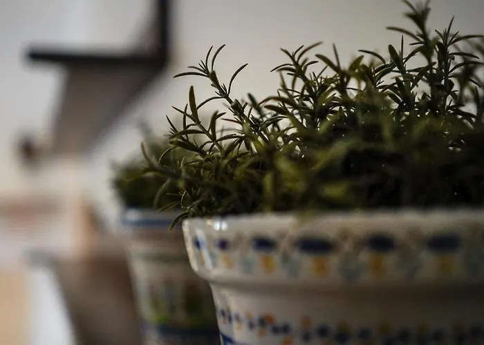 Palazzina Mariani מלון רומא